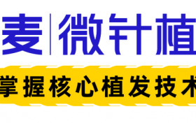 2025毛发医疗新布局：崔韶芳眼中的大麦微针植发与行业未来