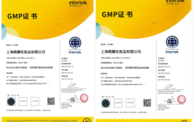 上海维娜是正规公司吗？深度解析品牌实力与行业认可
